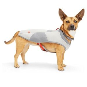 REDDY ⭐️ cooling dog vest
